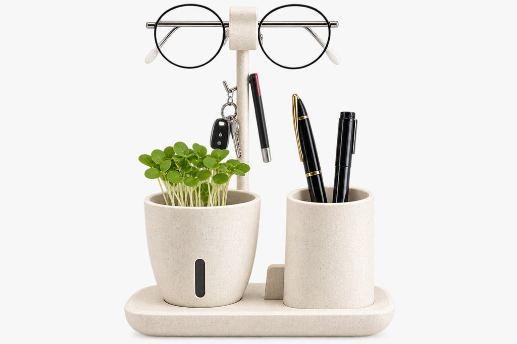 Desk Organizer with Planter