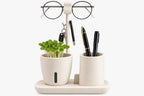Desk Organizer with Planter