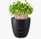 Self-Watering Planter