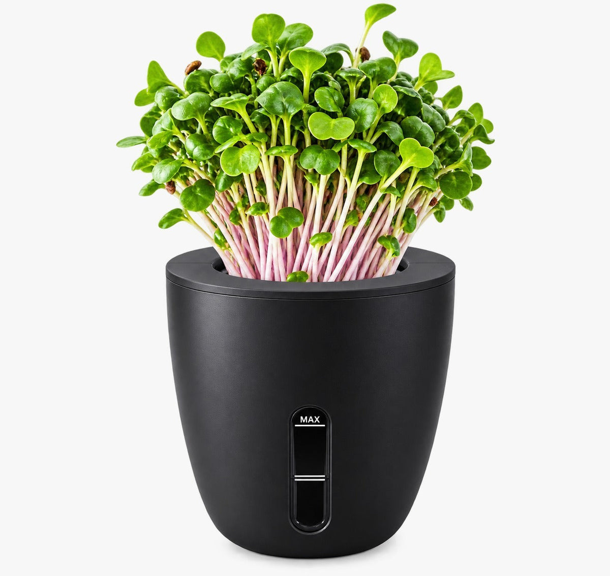 Self-Watering Planter